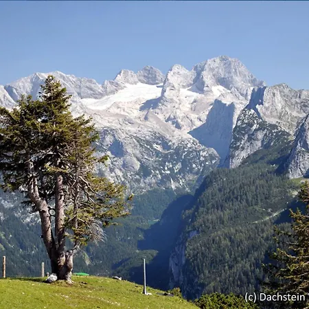 Holiday Alpenrose.10 Ferienhaus Annaberg im Lammertal